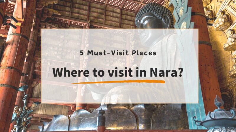 5 Must-Visit Places in Nara, Japan: Discover the Heart of Ancient Culture